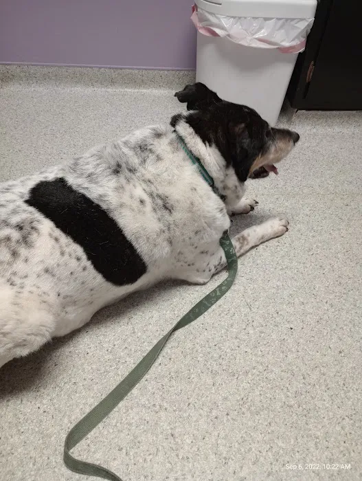 Trenton Animal Hospital Picture 1