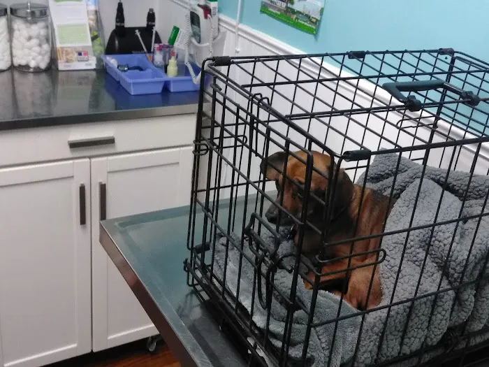 Trenton Animal Hospital Picture 6