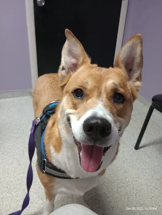 Trenton Animal Hospital Picture 4