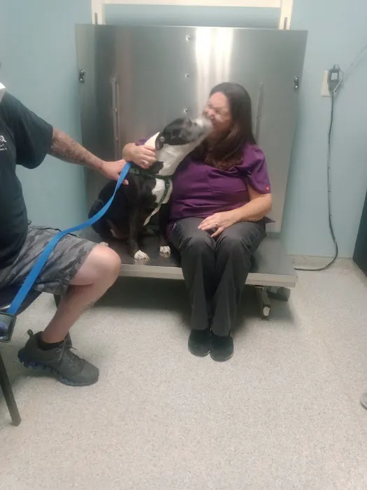 Trenton Animal Hospital Picture 10