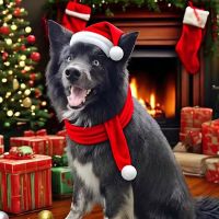 Germantown Veterinary Clinic ico