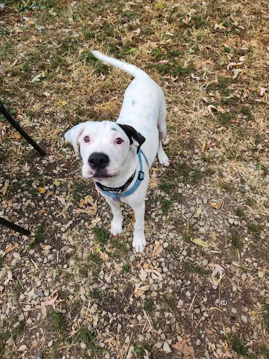 Germantown Animal Health Center Picture 1