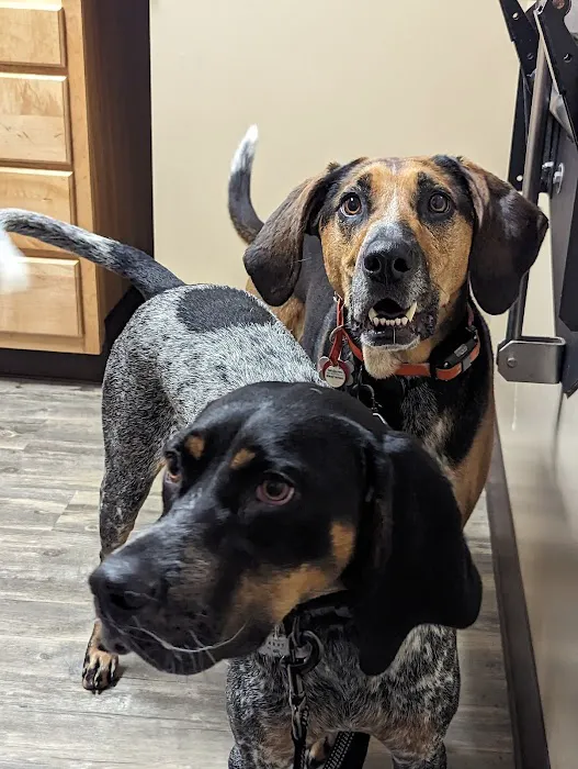 Germantown Animal Health Center Picture 3