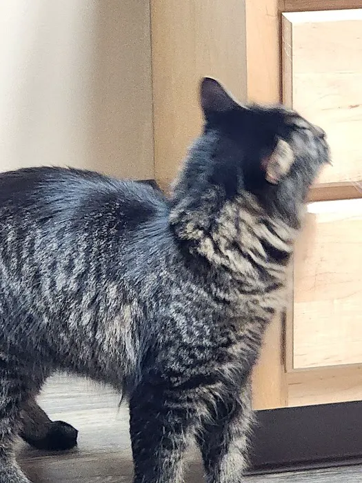 Germantown Animal Health Center Picture 7