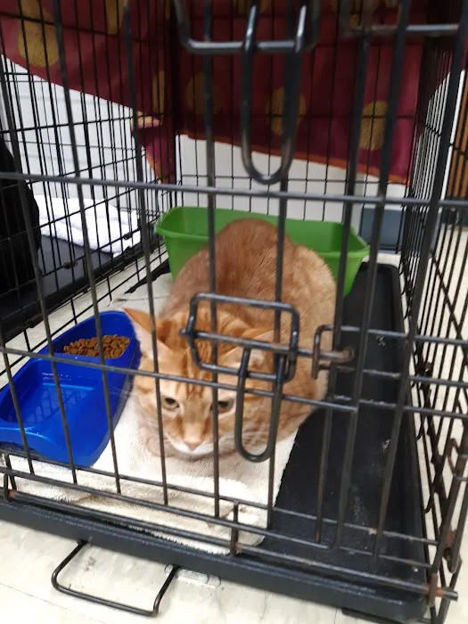 Alamo Heights Pet Clinic Picture 2