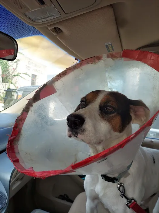 TERRELL HEIGHTS VETERINARY HOSPITAL Picture 3