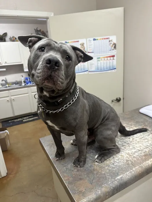 TERRELL HEIGHTS VETERINARY HOSPITAL Picture 6
