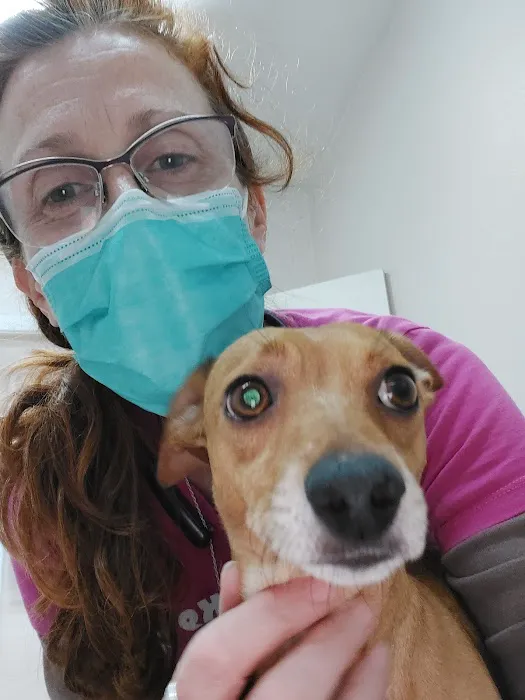 TERRELL HEIGHTS VETERINARY HOSPITAL Picture 8