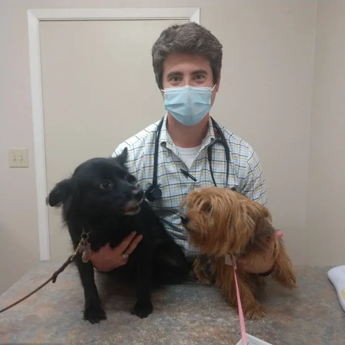 TERRELL HEIGHTS VETERINARY HOSPITAL Picture 5