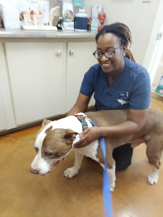 TERRELL HEIGHTS VETERINARY HOSPITAL Picture 9