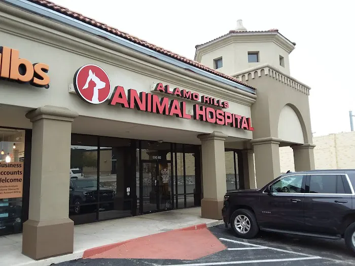 Alamo Hills Animal Hospital Picture 3