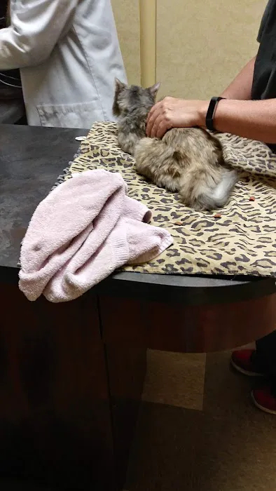 Alamo Hills Animal Hospital Picture 1