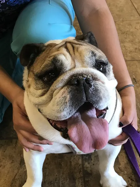 Alamo Hills Animal Hospital Picture 6