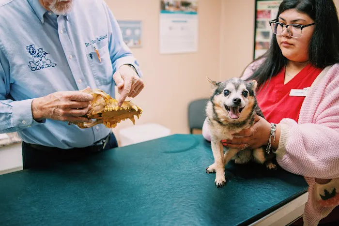 Pet Vaccination Clinic Picture 3