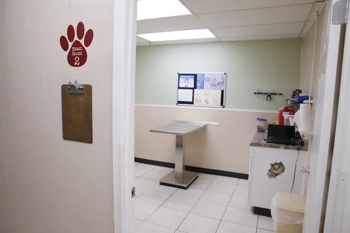 Pet Vaccination Clinic Picture 2