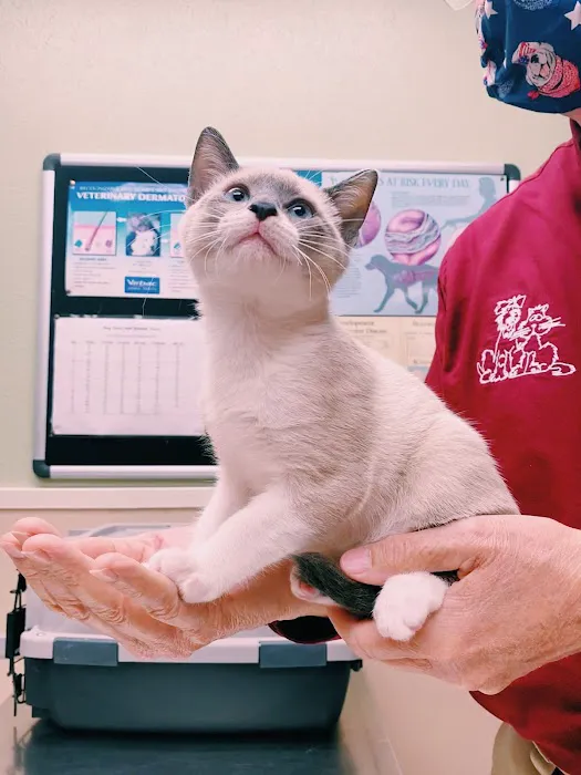 Pet Vaccination Clinic Picture 10