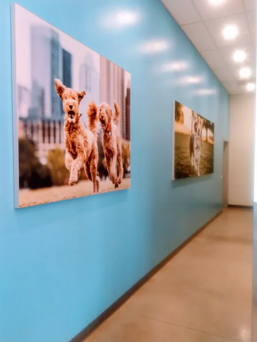 Vetco Total Care Animal Hospital Picture 7