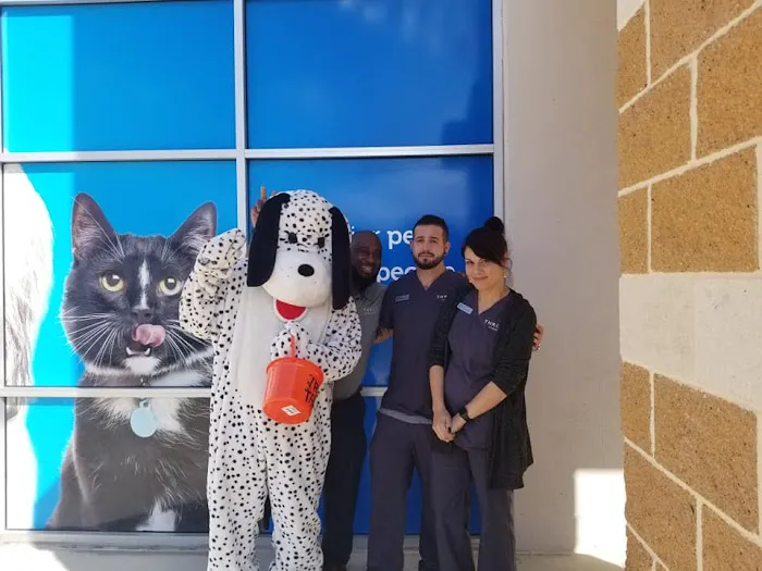 Vetco Total Care Animal Hospital Picture 8
