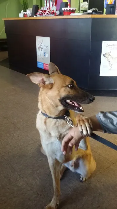 4 Paws Animal Hospital Picture 8
