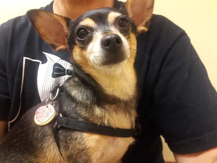 Dodd Animal Hospital Picture 3