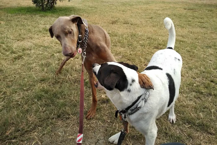 Dodd Animal Hospital Picture 5