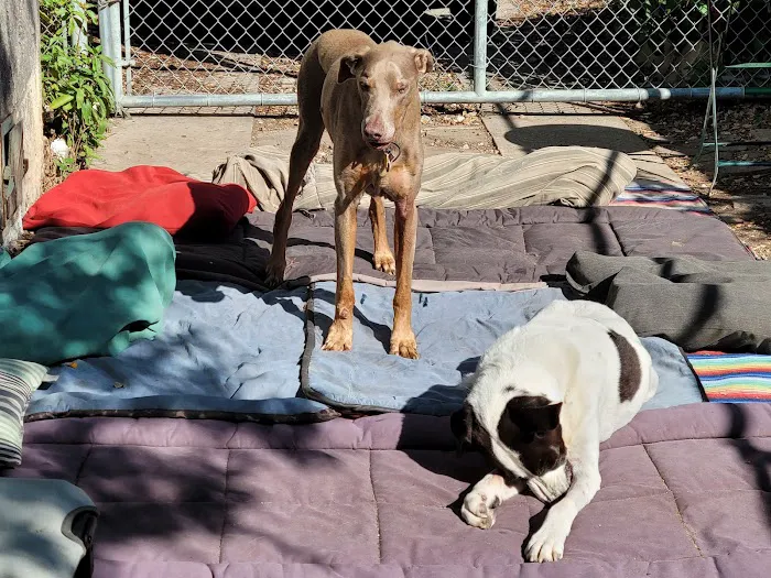 Dodd Animal Hospital Picture 6