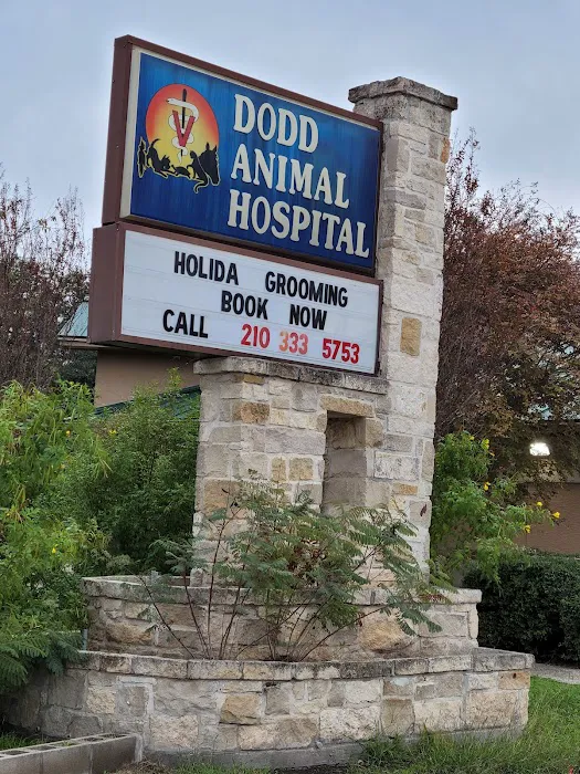 Dodd Animal Hospital Picture 10