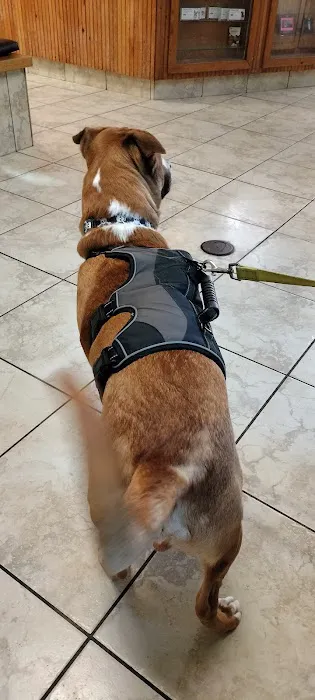 Dodd Animal Hospital Picture 8