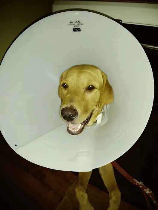 SNAP Spay-Neuter & Animal Wellness Clinic - San Antonio at Brooks Picture 4