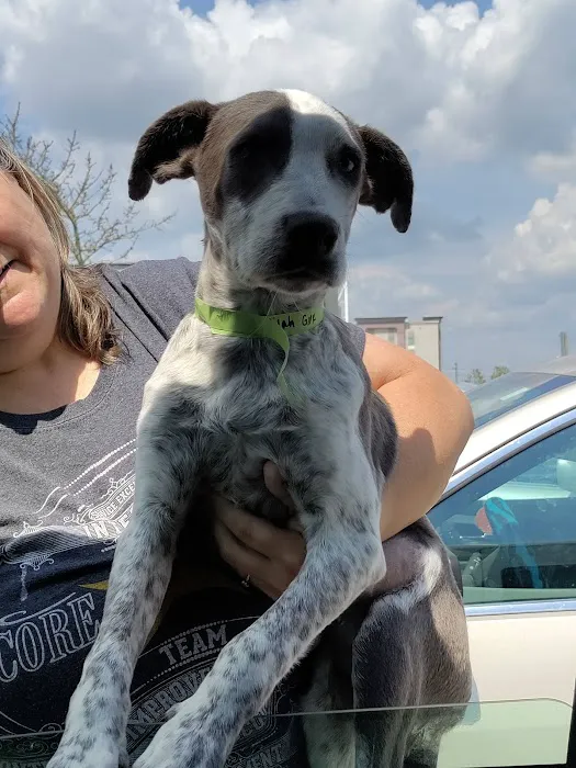 SNAP Spay-Neuter & Animal Wellness Clinic - San Antonio at Brooks Picture 6