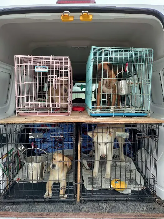 SNAP Spay-Neuter & Animal Wellness Clinic - San Antonio at Brooks Picture 8