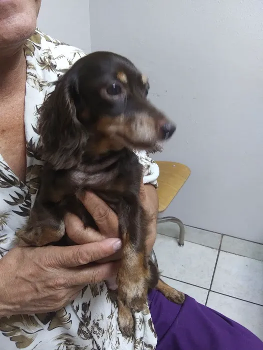 Rigsby Veterinary Clinic Picture 5