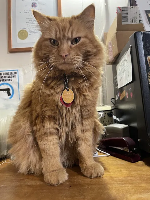 Pleasanton Road Animal Hospital Picture 2