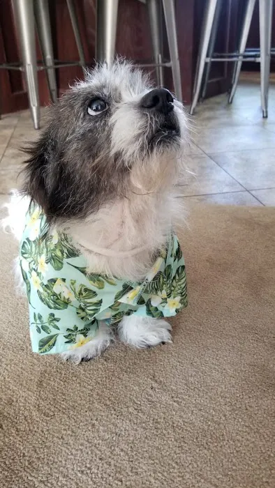 Pleasanton Road Animal Hospital Picture 8
