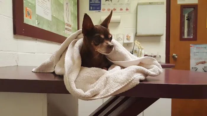 Pleasanton Road Animal Hospital Picture 10