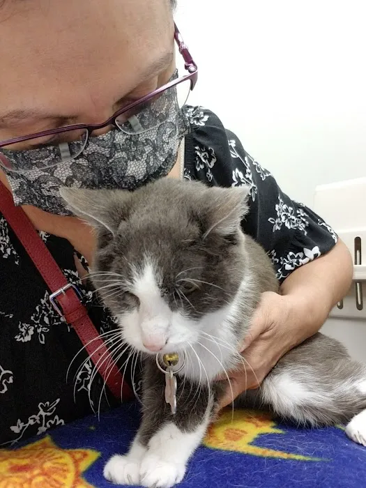 Blue Cross Pet Clinic Picture 8