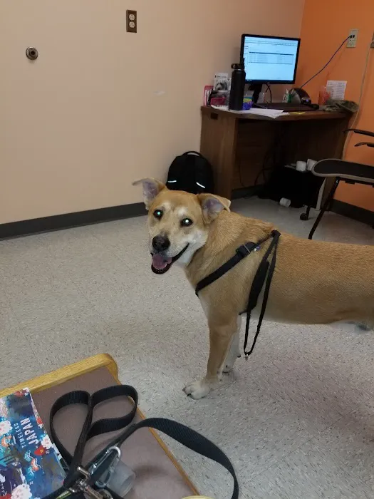 Lackland AFB Veterinary Treatment Facility Picture 3