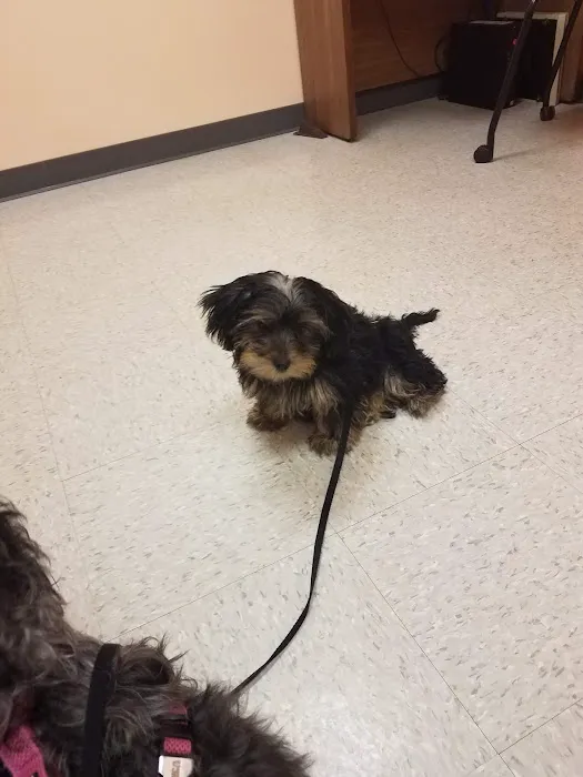 Lackland AFB Veterinary Treatment Facility Picture 6