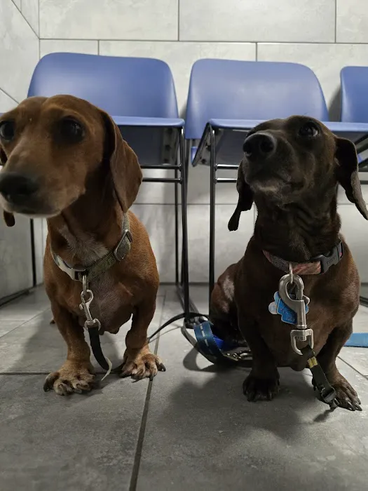 Callaghan Road Animal Hospital Picture 2