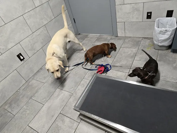 Callaghan Road Animal Hospital Picture 6