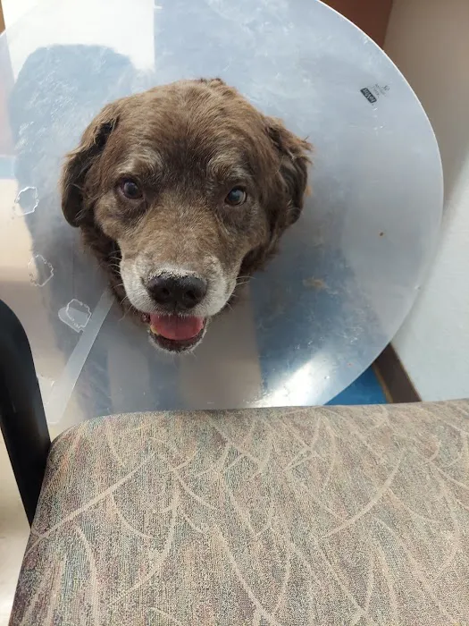 Callaghan Road Animal Hospital Picture 5