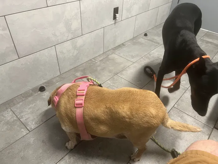 Callaghan Road Animal Hospital Picture 10