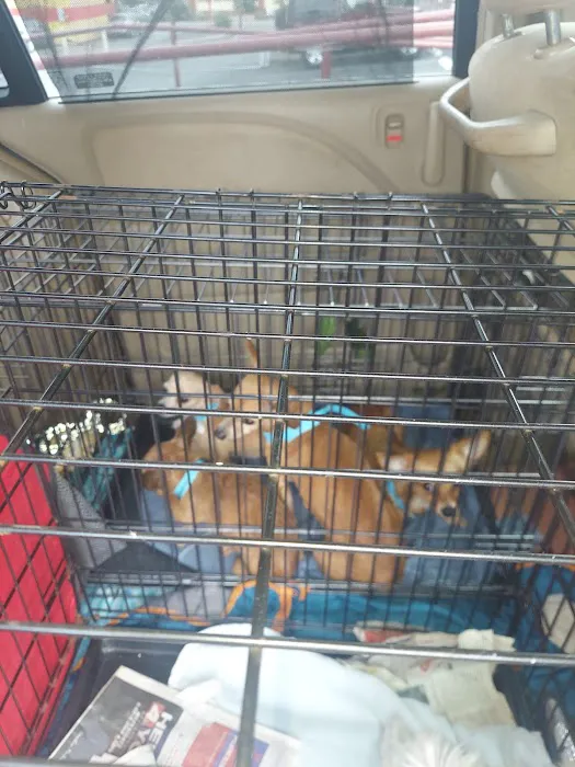 Callaghan Road Animal Hospital Picture 8