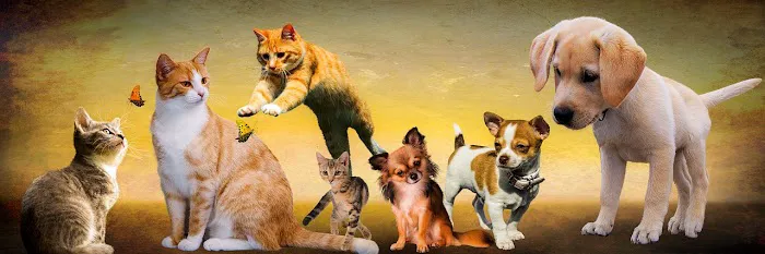 Marbach Road Animal Hospital Picture 1