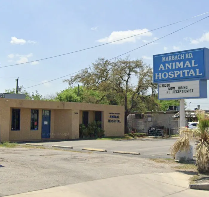 Marbach Road Animal Hospital Picture 9