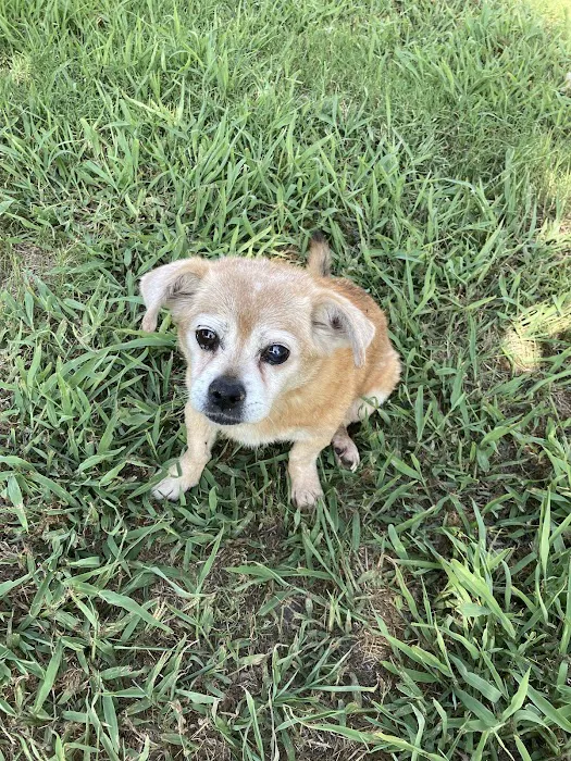 Marbach Road Animal Hospital Picture 6