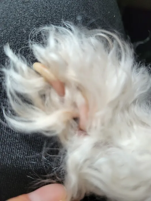 Marbach Road Animal Hospital Picture 10