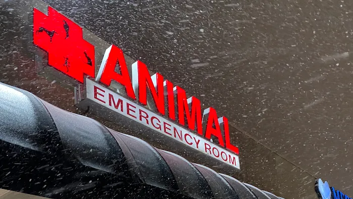 Animal Emergency Room Picture 3
