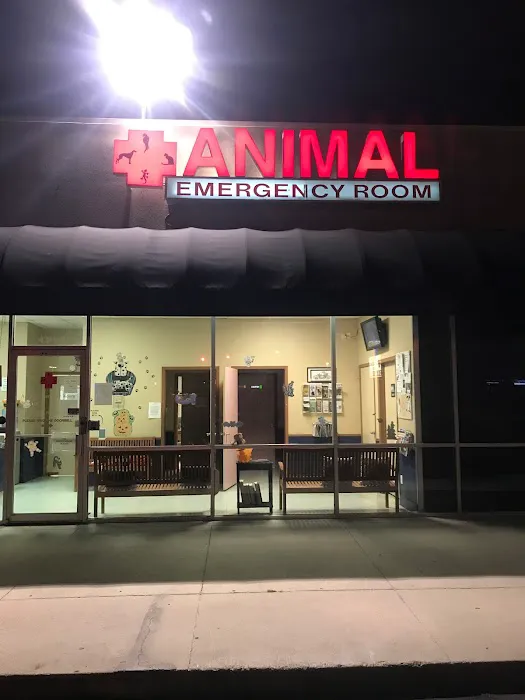 Animal Emergency Room Picture 2