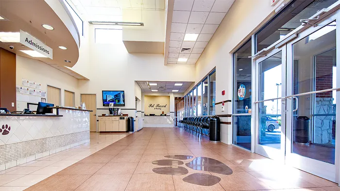 VCA Becker Animal Hospital and Pet Resort Picture 6